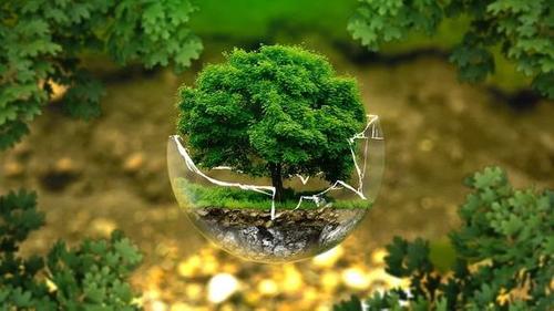 Экологическая повестка сегодня: какие меры уже были приняты мировыми организациями