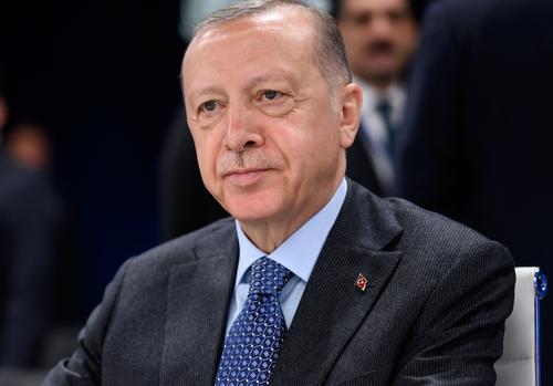 Эрдоган намерен обсудить урегулирование конфликта на Украине с Зеленским и Гутеррешем