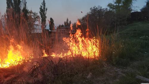 Вдвое увеличилась площадь возгорания леса в Рязанской области  
