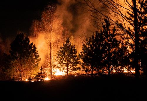 Синоптик Шувалов, говоря о пожарах в Рязанской области, заявил, что повторения ситуации 2010 года не будет