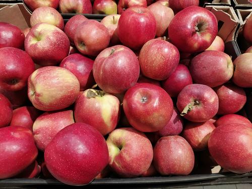 Диетолог Соломатина рассказала, что употребление яблок снижает уровень холестерина 