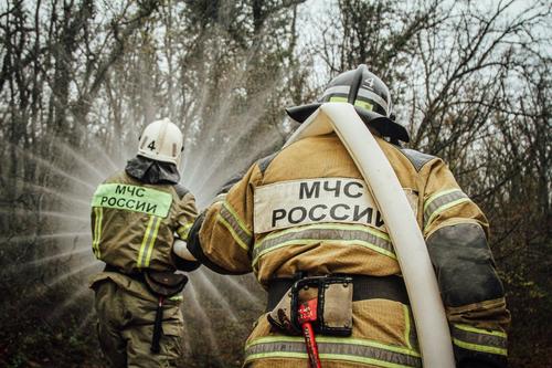 В Рязанской области началась эвакуация двух населенных пунктов из-за пожаров 