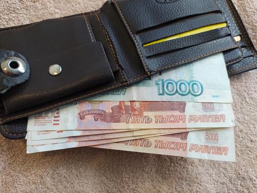 Экономист Твердохлеб поддержал планы ЦБ обязать банки возвращать россиянам переведенные мошенникам деньги