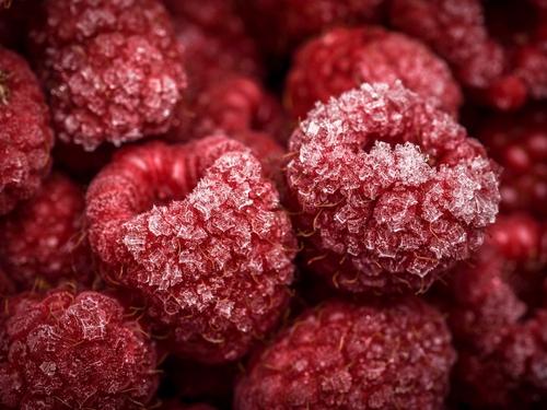 Диетолог Богданова порекомендовала не варить ягоды перед заморозкой на зиму