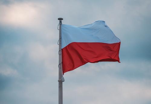 Военный эксперт Ераносян допустил, что если Польша заберет пять воеводств Украины, она «плевать захочет» на Германию