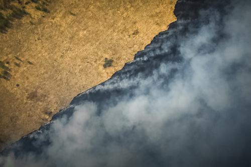Южноуральские эксперты прокомментировали меры предотвращения природных пожаров