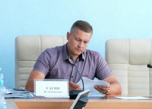 Cоветник главы правительства ДНР Гагин опасается, что комиссия МАГАТЭ в Энергодаре может погибнуть, от Киева можно всё ждать