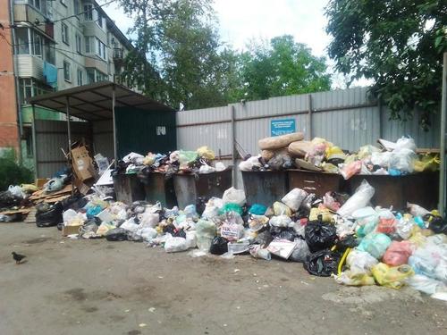 Дурно пахнет: в Хабаровском крае провалена мусорная реформа