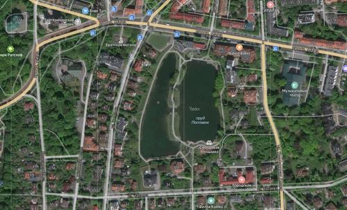 Массовую гибель уток зафиксировали на озере в Калининграде