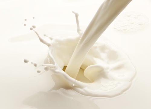 Молока в стране не убавляется даже при сокращении поголовья коров