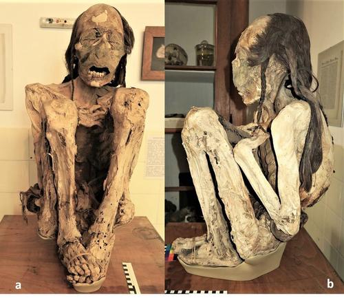 Научная «детективная работа» с южноамериканскими мумиями показывает, что они были жестоко убиты