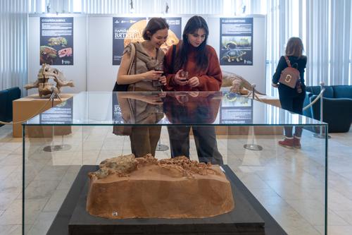 Департамент культуры: Дарвиновский музей и «Царицыно» одни из самых посещаемых за 2022 год
