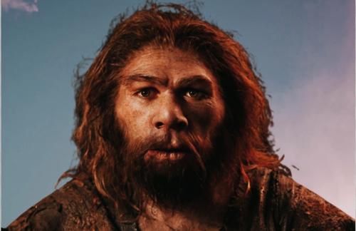 Для понимания сущности современного человека важно изучать неандертальцев​