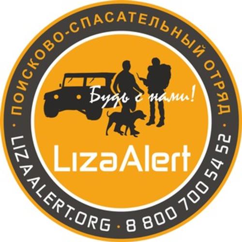 Волонтёры отряда «Лиза Алерт» нашли пропавшего в Москве бывшего чиновника из Пензы