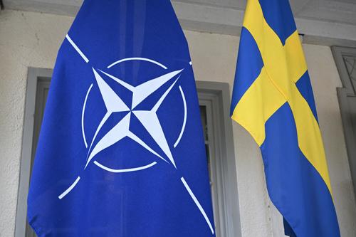 Страны НАТО заявили, что информация по инциденту на «Северных потоках» указывает на диверсию
