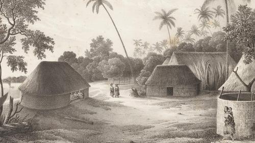 Исследование: после контактов с европейцами в 19 веке местное население Тонга сократилось более чем в два раза 