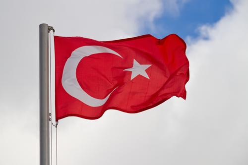 Турция отказывается признавать ДНР, ЛНР, Херсонскую и Запорожскую области частями России