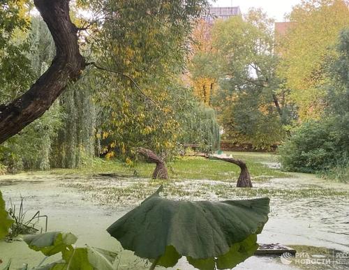 В Москве появятся болота, луга и зеленые крыши 