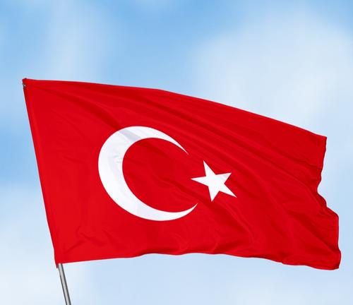 Востоковед Долгов: «Турции выгодно сохранить режим Зеленского»