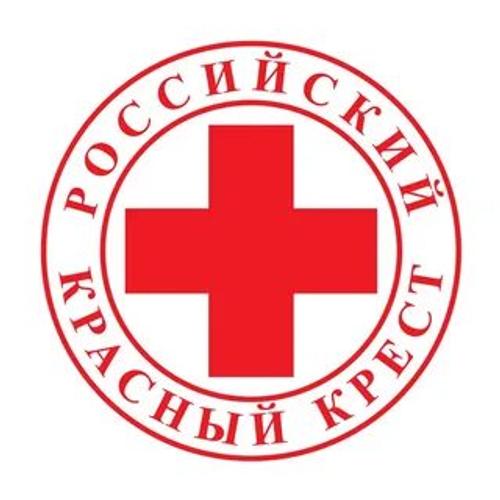 Политолог Бредихин: «От Красного Креста не было толку»