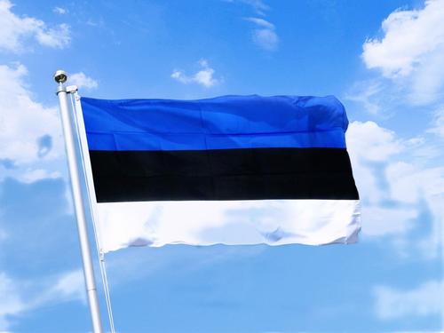 Политолог Симиндей: «Эстонию нужно признать спонсором терроризма»