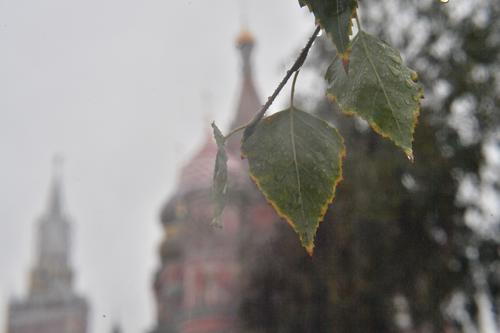 В Москве ожидается облачность и до 12 градусов тепла