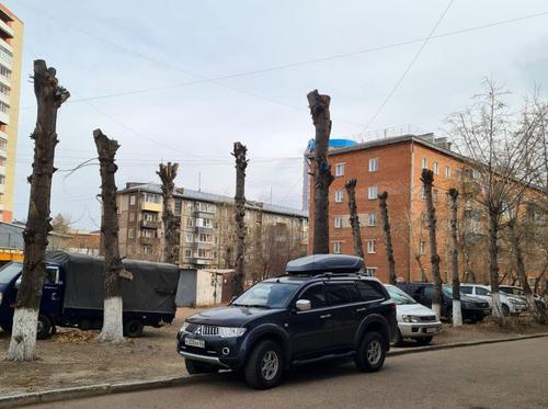 Улан-удэнцы возмущены массовым превращением деревьев в «обрубки»