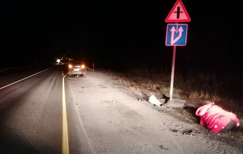 В Челябинской области на трассе М-5 сбили двух пешеходов