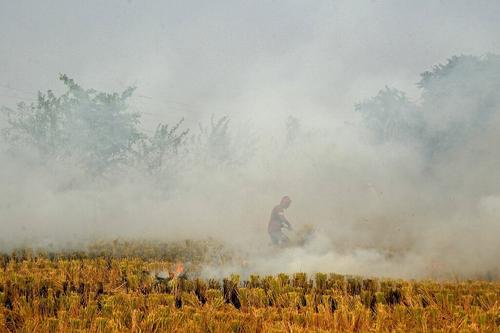В столице Индии закрывают школы из-за токсичного смога 