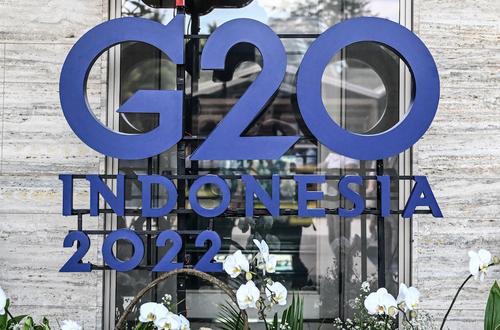 Власти Индонезии выразили надежду на участие Путина и Зеленского в саммите G20 на Бали