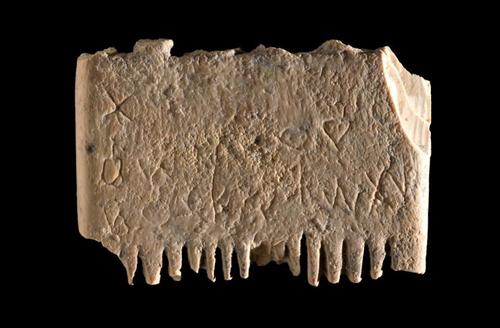 Надпись на найденном древнем гребне призывает расчесывать волосы и бороды, чтобы избавиться от вшей