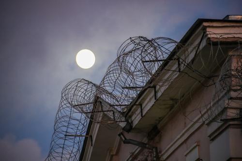 В России создадут систему пробации для осужденных