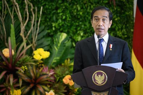 Президент Индонезии Видодо заявил, что G20 удалось принять первую с февраля совместную декларацию