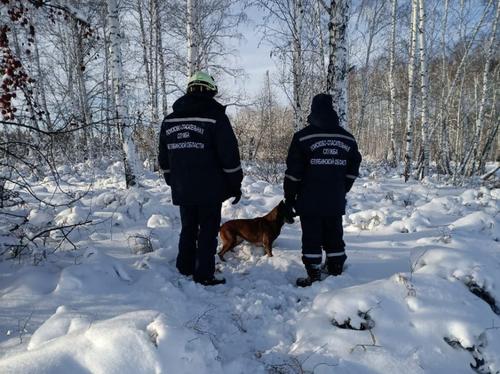 В Челябинской области 34-летний мужчина насмерть замерз в лесу