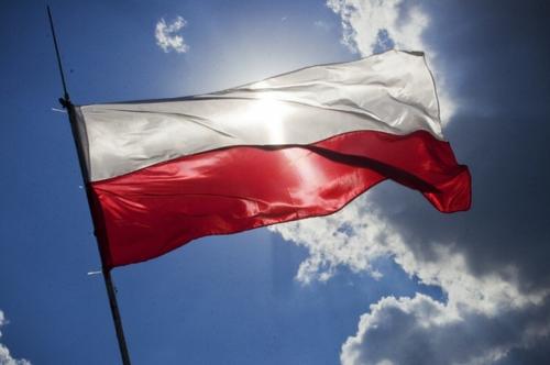 Политолог Дзермант о ракетном ударе по Польше: «Ударять РФ в трактор - бессмысленно»