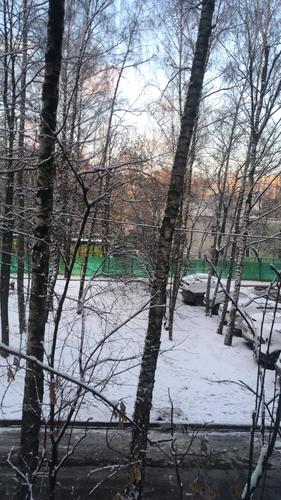 В Москве высота снежного покрова местами достигла 11 сантиметров