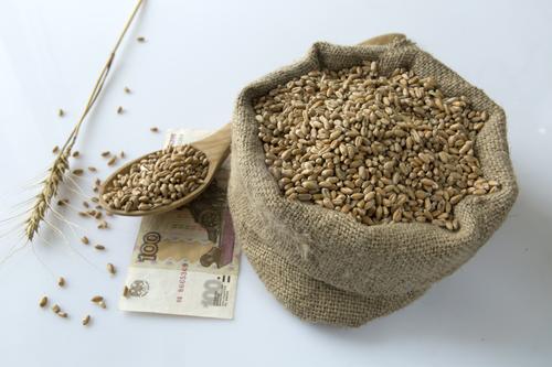 Директор ФАО Кобяков: экспорт российского зерна в бедные и нуждающиеся страны поможет купировать вспышки голода