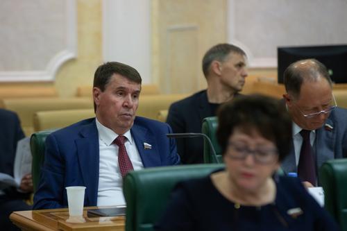 Сенатор Цеков: у России есть большие возможности для помощи Южной Осетии