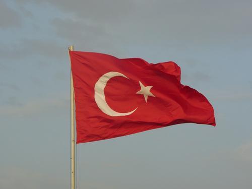 Глава МВД Турции Сойлу заявил, что указание о теракте в Стамбуле было получено из сирийского Манбиджа