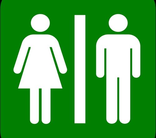 В Латвии создана Ассоциация пользователей туалетов