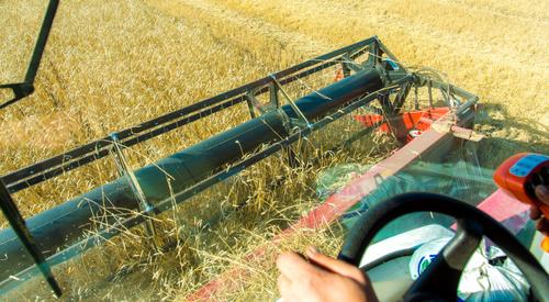 Южноуральские аграрии собрали рекордный урожай пшеницы