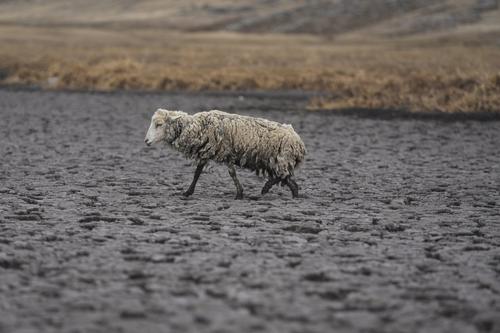 Засуха охватила южные Анды Перу