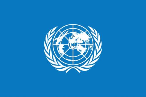 Военный эксперт Дандыкин: «Нет надежды на объективное расследование ООН расстрела солдат РФ»
