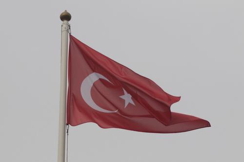 Представитель Эрдогана Калын: Турция заинтересована в урегулировании украинского конфликта и работает над этим