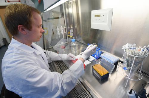 Эпидемиолог Зверев заявил, что исключает возможность появления нового штамма вируса при контакте лихорадки Эбола с коронавирусом