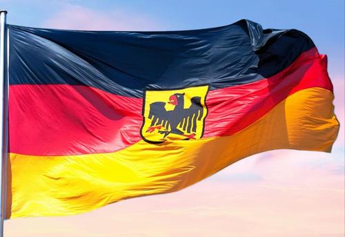 Депутат Бундестага Шмидт: «Этот госпереворот - попытка отвлечь общество от проблем в Германии»