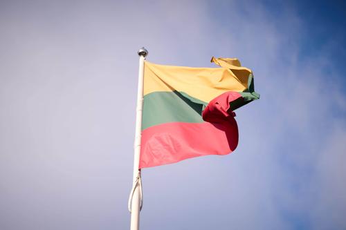 Более половины украинских беженцев, оказавшихся в Литве, получили работу