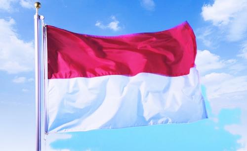 Протесты против «нелепых законов» в Индонезии грозят стране политическим кризисом