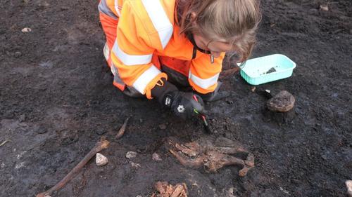 Найденное в Дании 5000-летнее «болотное тело», может быть жертвой человеческих жертвоприношений