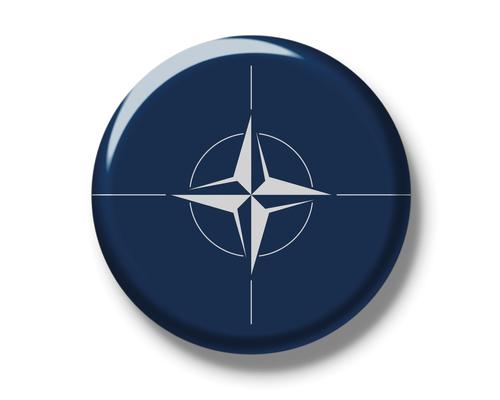 Конгрессмен Кинзингер: война НАТО против России закончится за три дня
